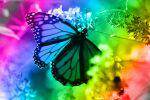 Ascension Reiki