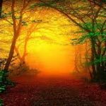 Essential Earth Love Attunement