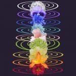 Chakra Light Attunements