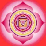 Root Chakra Re-Alignment Energy System